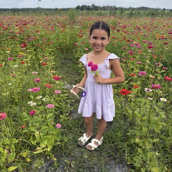 Wesley Wells Farm - Pick flowers for mama in one of their flower fields - Pick Your Own Farms Near Me - St. Augustine, Florida
