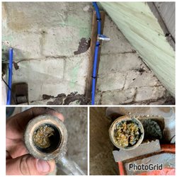 Anything Plumbing Involved