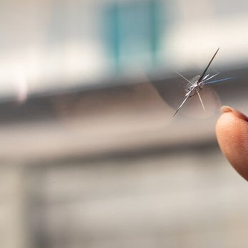 Auto Glass Installers - Auto Glass Services Near Me Auto Glass Installers - Auto Glass Services Near Me