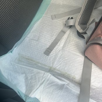 Stand For Animals Veterinary Clinic - This is what was left under his carrier after getting home. - Veterinarians Near Me - Charlotte, North Carolina