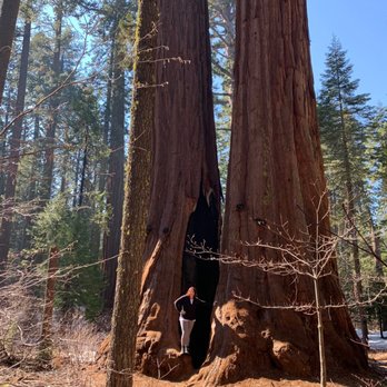 Calaveras Big Trees State Park - Parks Near Me - Arnold, California Calaveras Big Trees State Park - Parks Near Me - Arnold, California