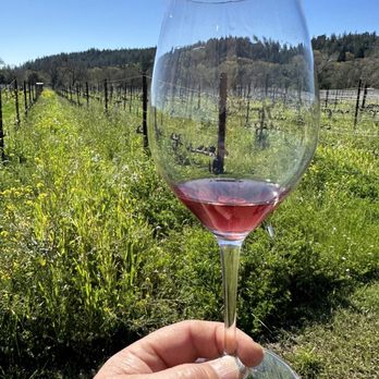 Amista Vineyards - Wine Tours Near Me - Healdsburg, California