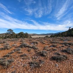 Baldwin Lake Ecological Reserve - View from the trail