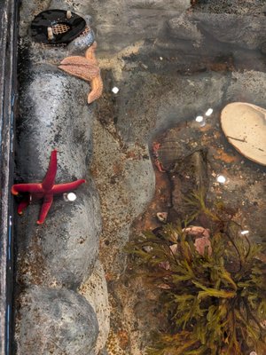 George B. Dorr Museum of Natural History by null