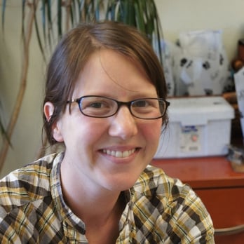 Kaibab Veterinary Clinic - Veterinarians Near Me - Flagstaff, Arizona Kaibab Veterinary Clinic - Veterinarians Near Me - Flagstaff, Arizona