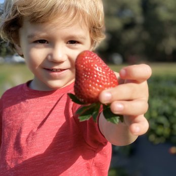 JG Ranch - Farmers Market Near Me - Brooksville, Florida JG Ranch - Farmers Market Near Me - Brooksville, Florida