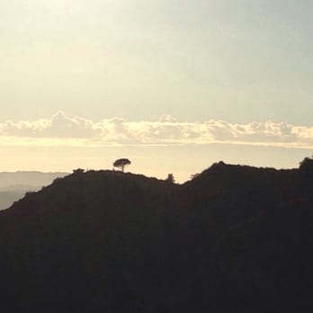 Cahuenga Peak - On the trail to the Wisdom Tree you can see it from a distance it really stands out so beautifully @ Cahuenga Peak - 9/13/15 - Hiking Near Me - Los Angeles, California Cahuenga Peak - On the trail to the Wisdom Tree you can see it from a distance it really stands out so beautifully @ Cahuenga Peak - 9/13/15 - Hiking Near Me - Los Angeles, California