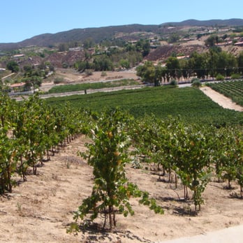 Cougar Vineyard & Winery - Wineries Near Me - Temecula, California Cougar Vineyard & Winery - Wineries Near Me - Temecula, California