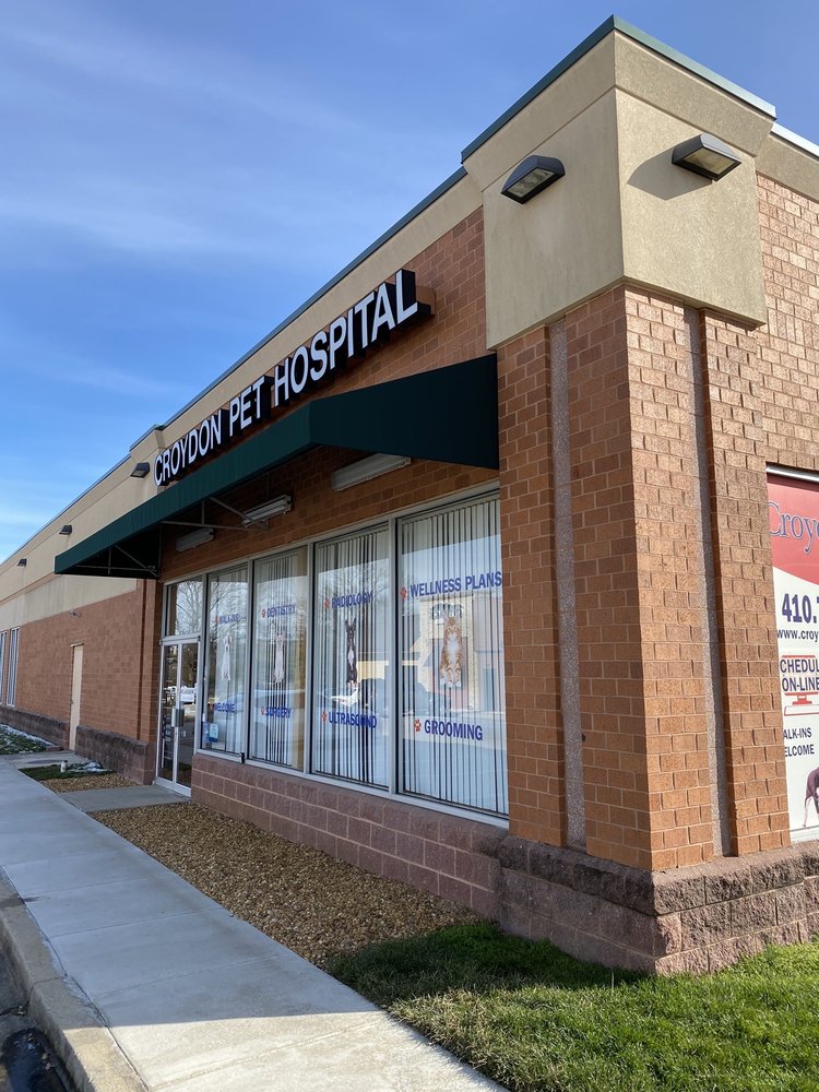 CROYDON PET HOSPITAL 27 Reviews 7746 Ritchie Hwy, Glen Burnie