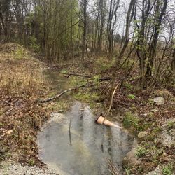 Secret Trail