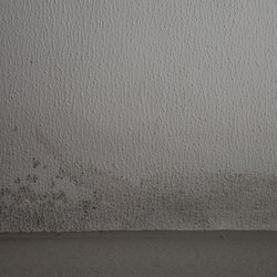 Capital Property Management - Mold