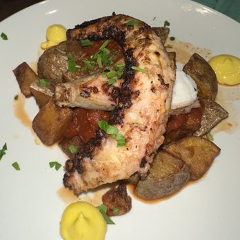 Byblos - Octopus - Mediterranean Near Me - Tampa, Florida