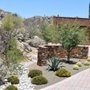 Photo of Desert Coral Landscaping 