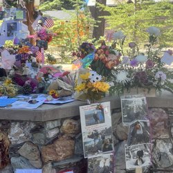 Fawn Park - We love you forever, Jackie!