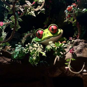 Rainforest Cafe - American Near Me - Las Vegas, Nevada
