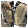 Photo of Wilds Salon 24