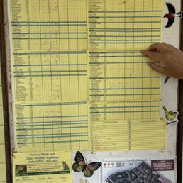 Birds checklist Birds checklist