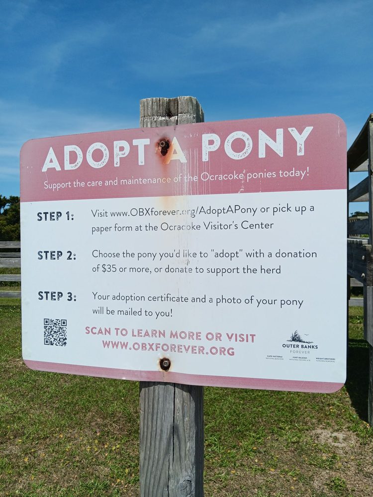 Ocracoke Ponies and Pen