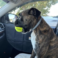Bass Pro Shops - Cabela's large tennis ball