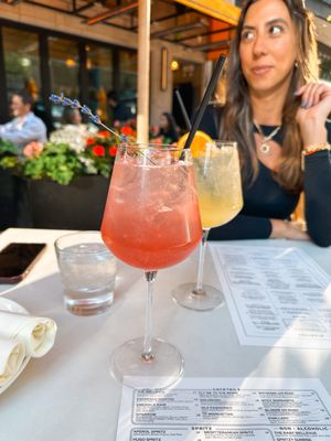 The Bellevue Chicago by null
