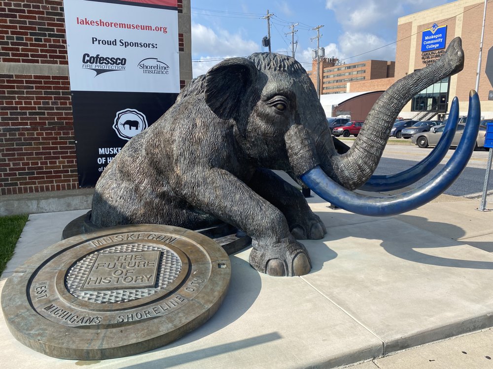 Slide of Speedy Flow Sewer and Drain