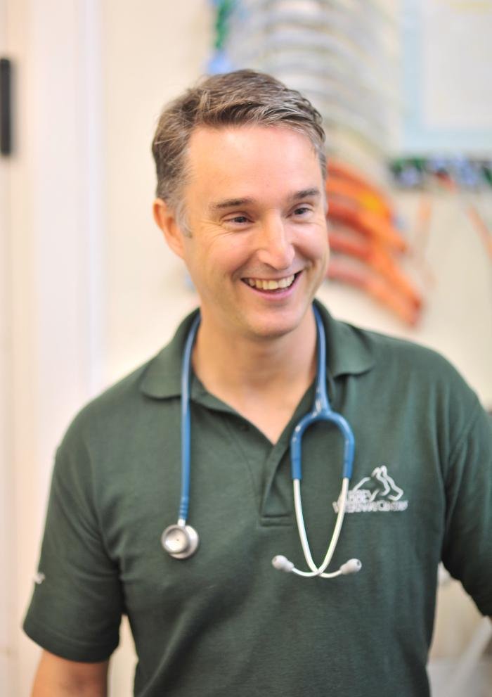 ABBEY VETERINARY CENTRE Updated June 2024 12 Photos 8 Hereford