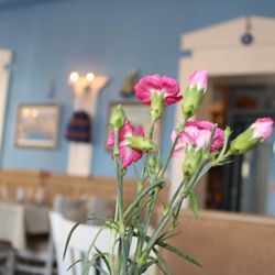 Bacchus Keller Restaurant