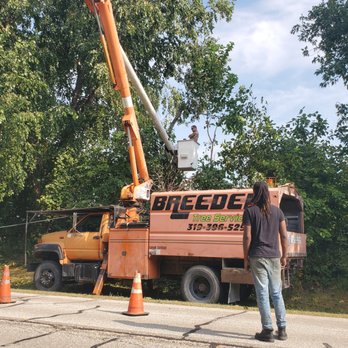Breeden Tree Service - Tree Services Near Me - Cedar Rapids, Iowa Breeden Tree Service - Tree Services Near Me - Cedar Rapids, Iowa