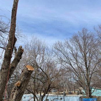 Hill Tree Service - Tree Services Near Me - Oak Grove, Missouri Hill Tree Service - Tree Services Near Me - Oak Grove, Missouri