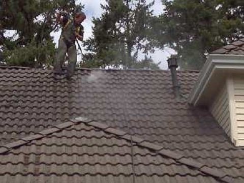 Slide of Winter Garden Roof Repair