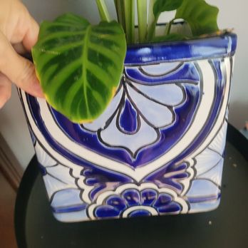 Casa Artesanal - Northgate $22 - Home & Garden Near Me - Norwalk, California Casa Artesanal - Northgate $22 - Home & Garden Near Me - Norwalk, California