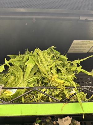 Sprouts Farmers Market by null