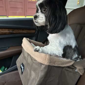 Pawlins Total Pet Care - Princess - Pet Groomers Near Me - New Orleans, Louisiana