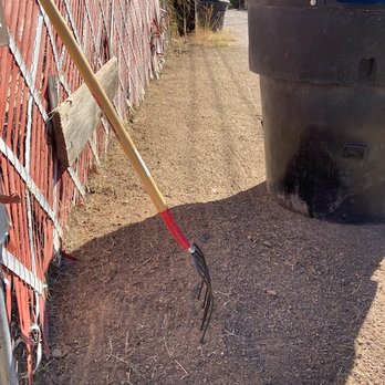 Nosotros Landscaping - Cleanup- after - Landscaping Near Me
