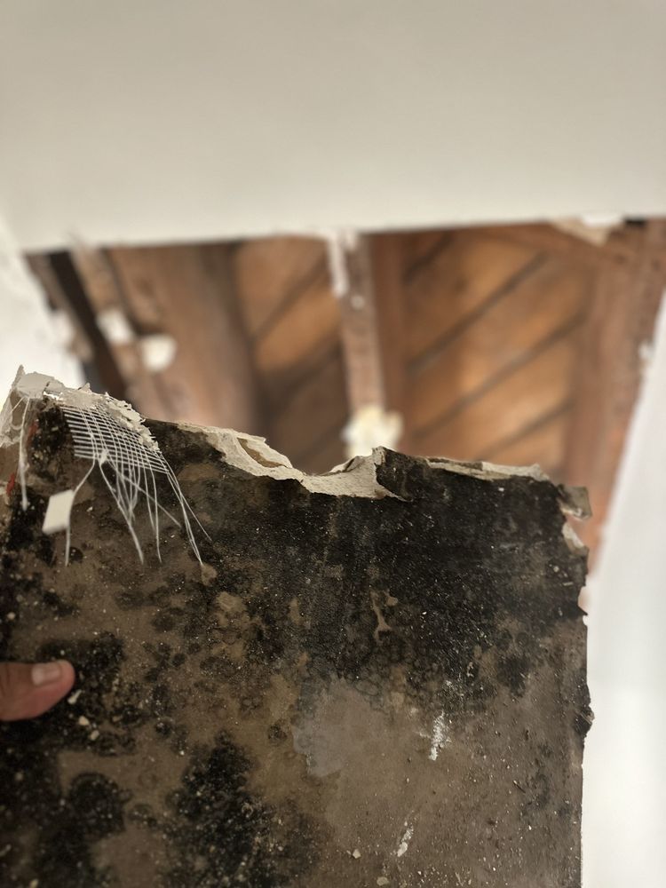 CCC Mold Inspection & Remediation - mold inspector in Corona, CA