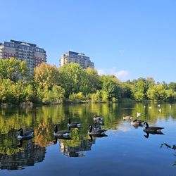 Parc Angrignon