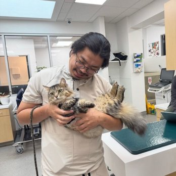 Southpaw Vets - The techs texted me this photo of my younger cat being a queen in the back to show me how well-behaved she was. - Veterinarians Near Me - Sherman Oaks, California Southpaw Vets - The techs texted me this photo of my younger cat being a queen in the back to show me how well-behaved she was. - Veterinarians Near Me - Sherman Oaks, California