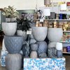 Dolins Garden Center gift card
