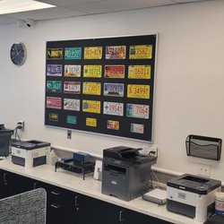 In & Out MVD