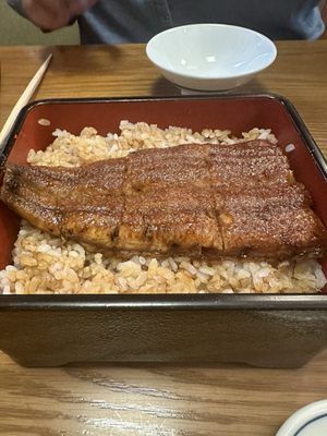 Honke Shibato by null