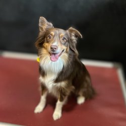 Lafayette Veterinary Care Center