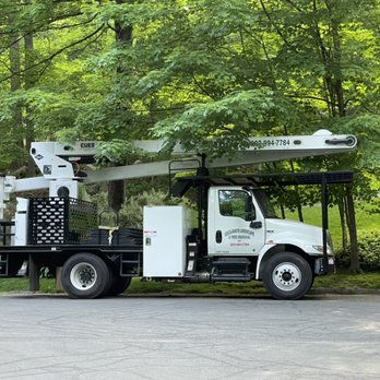 Ceciliano’s Landscaping & Tree Removal - Ceciliano's Landscaping & Tree Removal - Tree Services Near Me Ceciliano’s Landscaping & Tree Removal - Ceciliano's Landscaping & Tree Removal - Tree Services Near Me