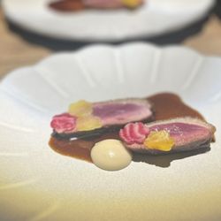Table Culture Provisions - Canette Liberty Duck - Sunchoke Beets - Sauce Gastric