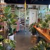 Ray Ray’s Plants gift card