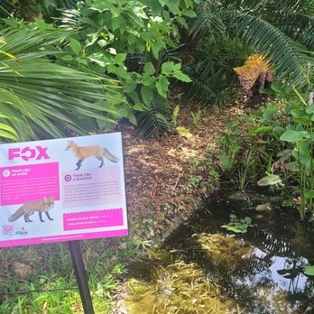 McKee Botanical Garden - Lego Fox. - Botanical Gardens Near Me - Vero Beach, Florida McKee Botanical Garden - Lego Fox. - Botanical Gardens Near Me - Vero Beach, Florida