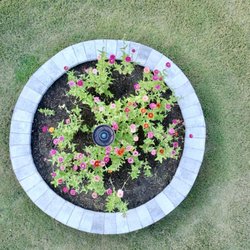 Palmetto Landscaping and Design - Zinnia garden, Fall 2025. Very happy with the work Palmetto Landscaping and Design did for us, our second project with them.