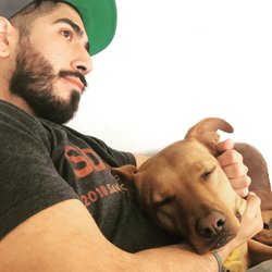 Antonio's Dog Services Unlimited