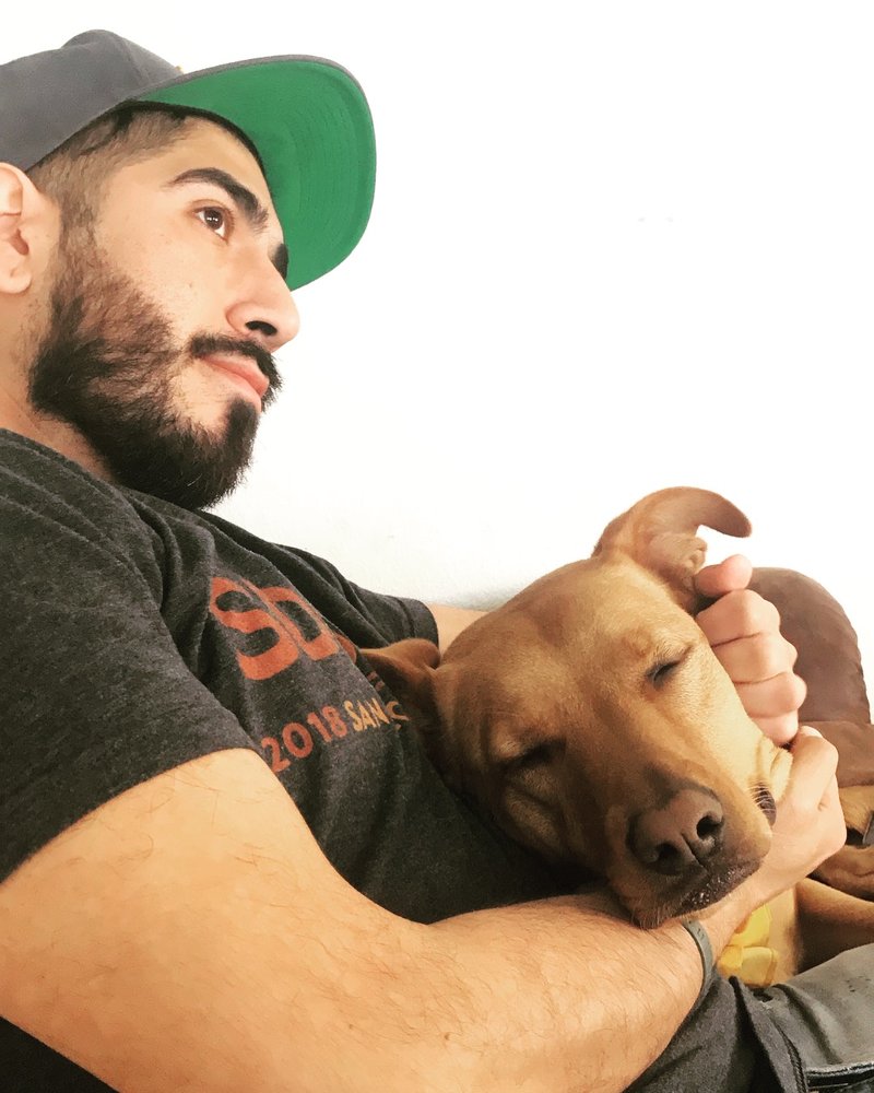 Antonio's Dog Services Unlimited - pet boarding facility in San Diego, CA
