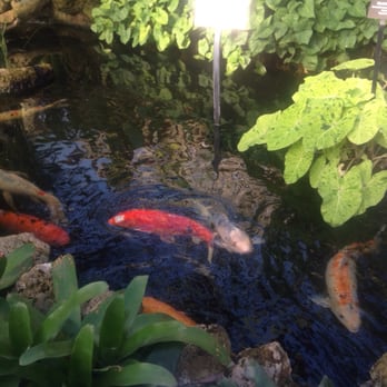 Lincoln Park Conservatory - Parks Near Me - Chicago, Illinois Lincoln Park Conservatory - Parks Near Me - Chicago, Illinois
