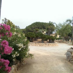 Botanicactus